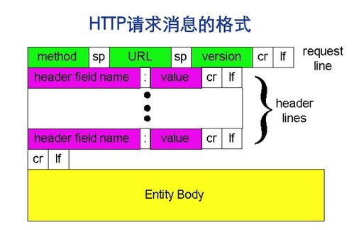 計(jì)算機(jī)網(wǎng)絡(luò)應(yīng)用與軟件簡介